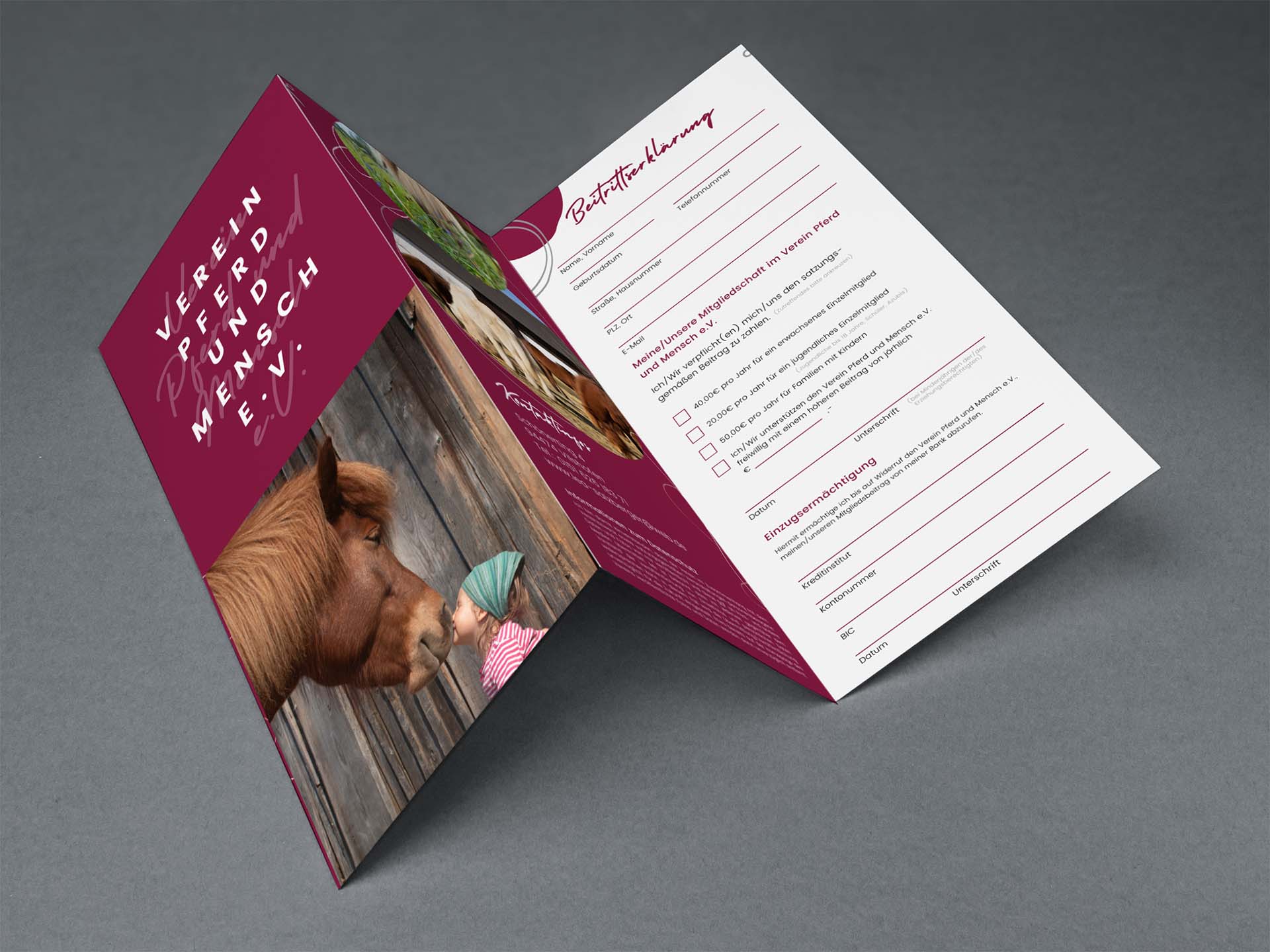 Flyergestaltung für Verein Pferd und Mensch e.V.